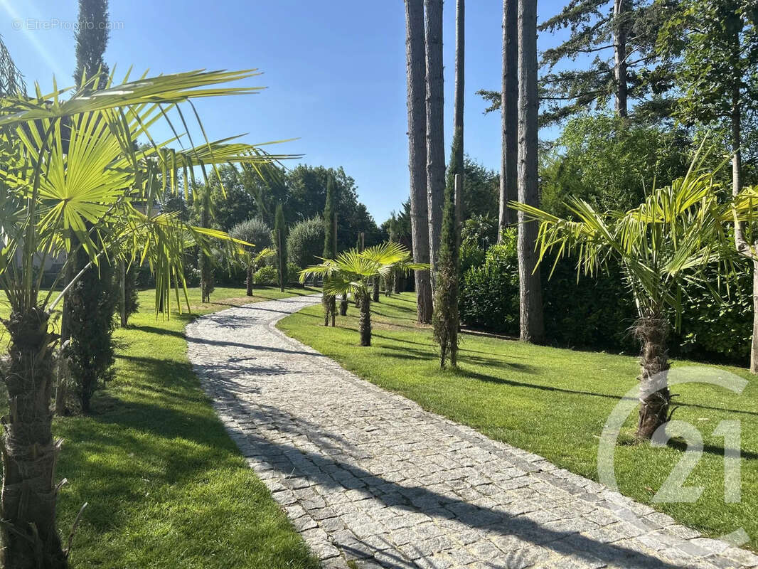 Maison 348 m² à Samoreau  - photo 46