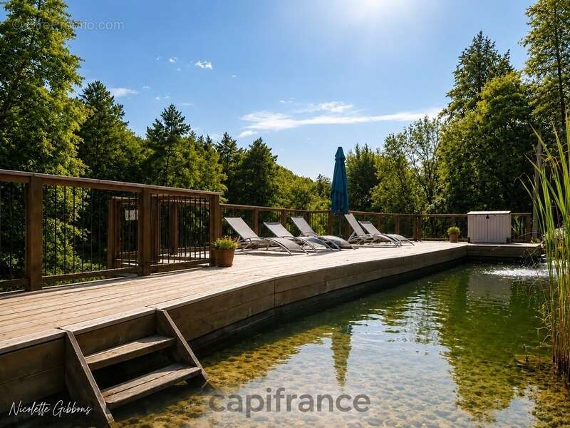 Domaine avec Trois Gîtes, Deux Sources Naturelles, Deux Piscines et 6 Hectares aux Portes de Beaulieu-sur-Dordogne - photo 4