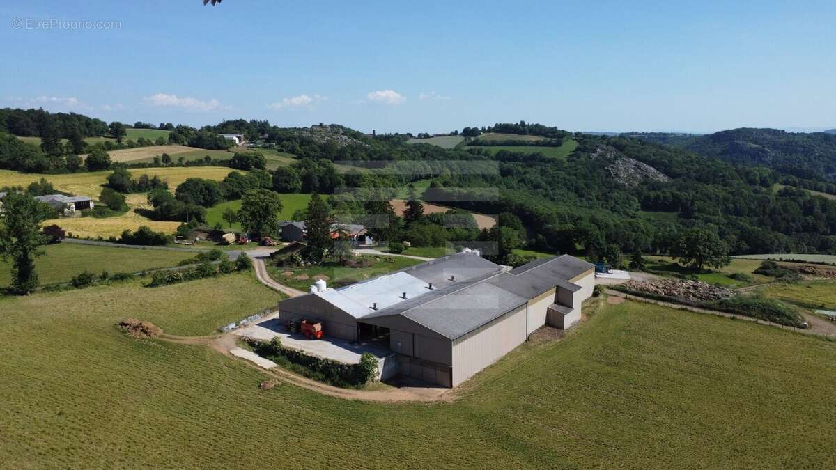TARN (81) - A CEDER Exploitation ovin lait performante - photo 2