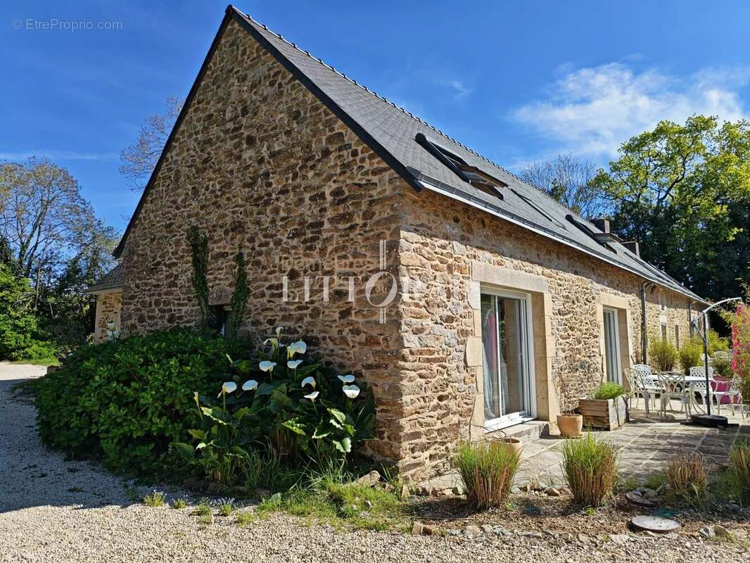 Maison à DAMGAN