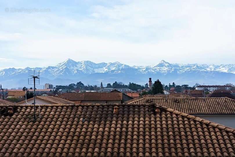 INVESTISSEMENT LOCATIF  TARBES  Résidence Seniors Les Templitudes de Tarbes - 5,62 % de rentabilité - photo 15