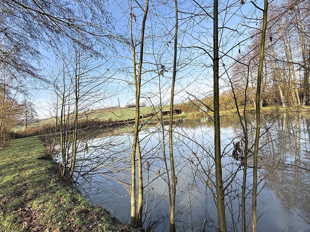 Terrain à MIRECOURT