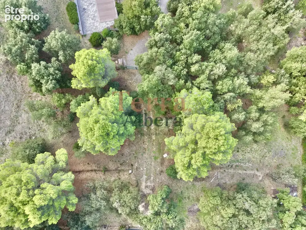Montesquieu-des-Albères — Terrain plat arboré viabilisé, superbe vue sur les Albères - photo 2