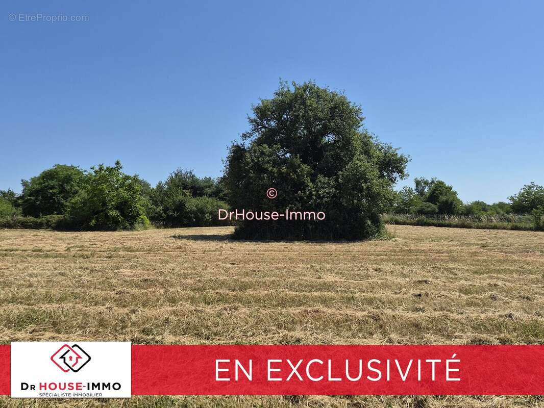 Terrain 1287 m² à Brion  - photo 4