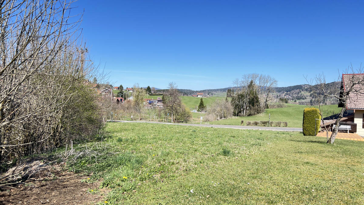 Terrain à LES GRANGETTES