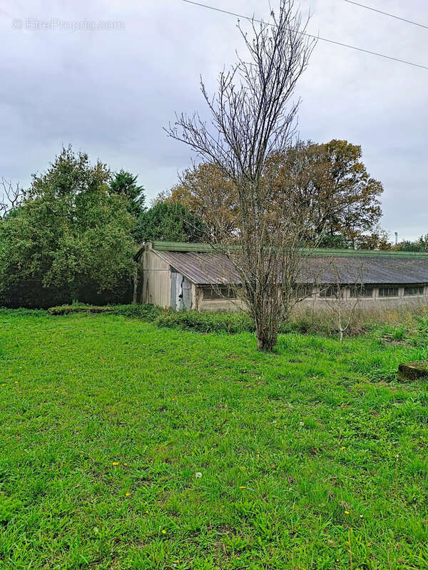 Autre à SAINT-DOLAY