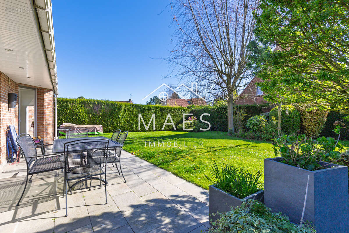 Maison à WAMBRECHIES