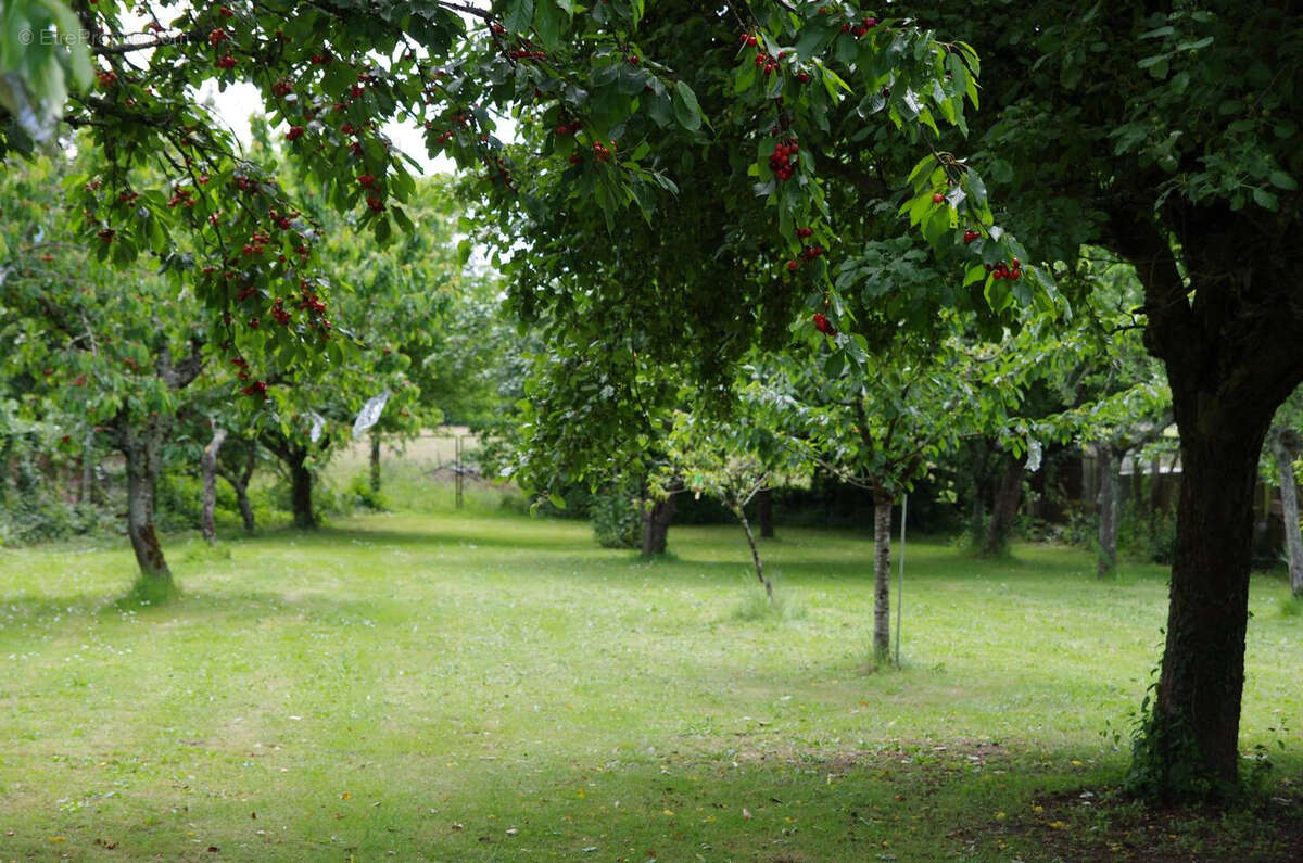 Maison à FONTCOUVERTE
