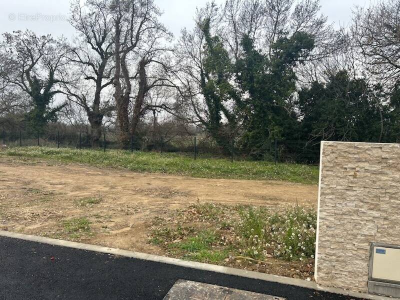 Terrain à BALARUC-LE-VIEUX