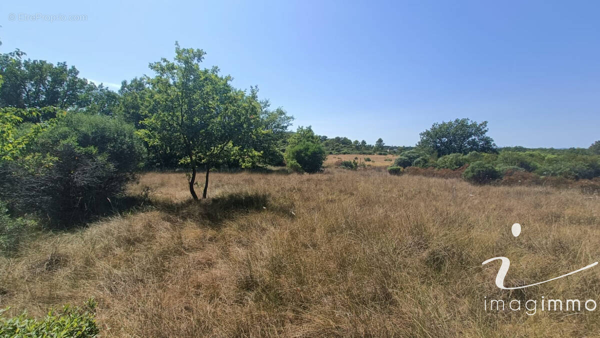 Terrain à LA BOISSIERE