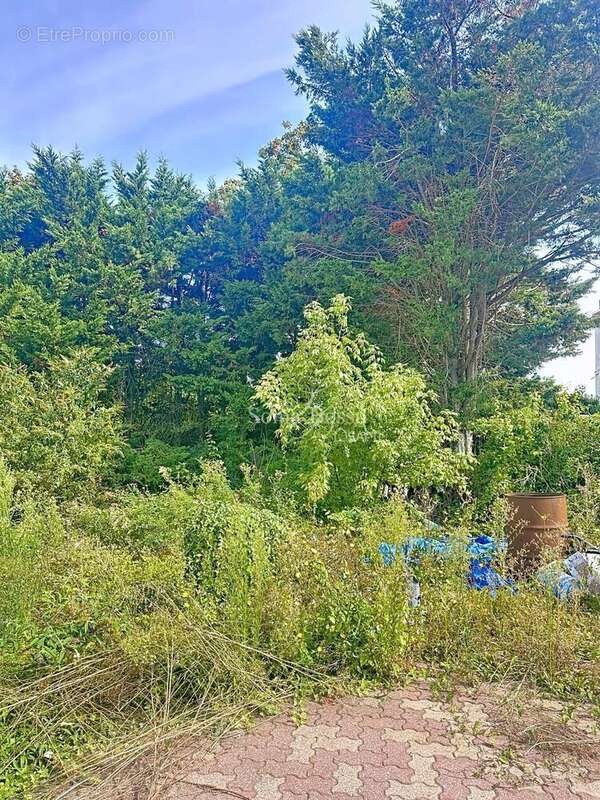 Photo 3 - Maison à LIEVIN