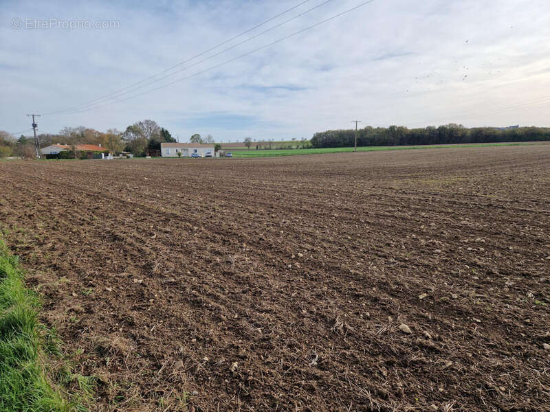 Terrain à vendre  chantemerle sur la soie (17) - photo 3