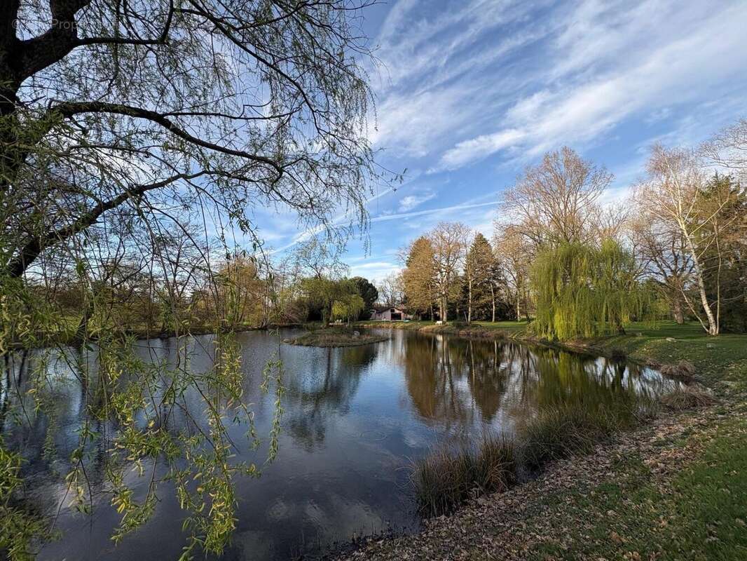 Photo 4 - Maison à MONTAGNAT