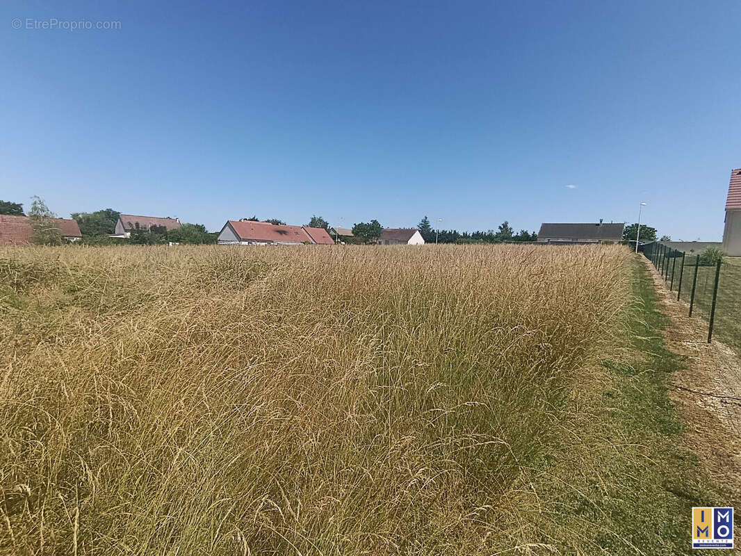 Terrain 1270 m² à Farges-En-Septaine  - photo 2