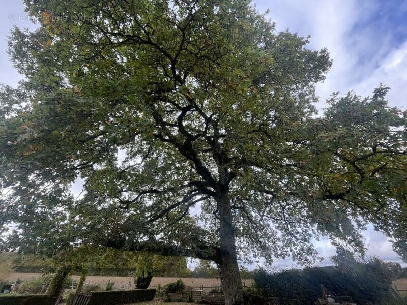 Maison à LA BAZOCHE-GOUET