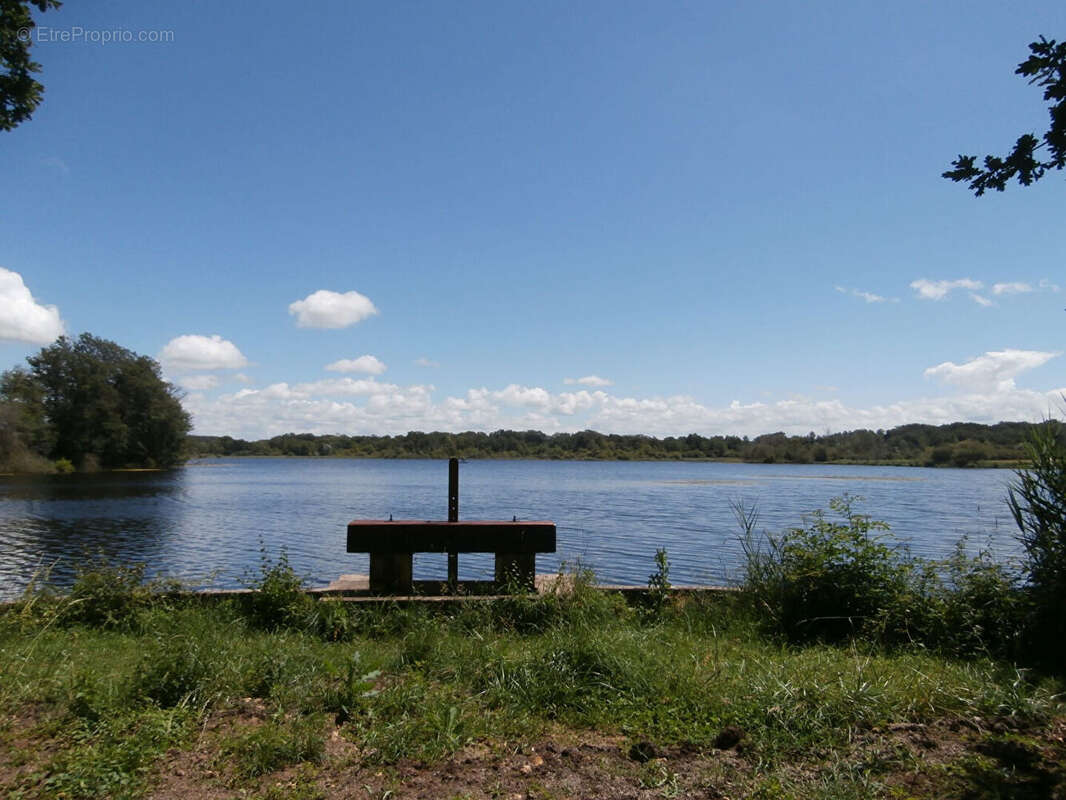 Domaine de Chasse et de Pêche d'Exception - Un Écrin de Nature et de Tranquillité - photo 4