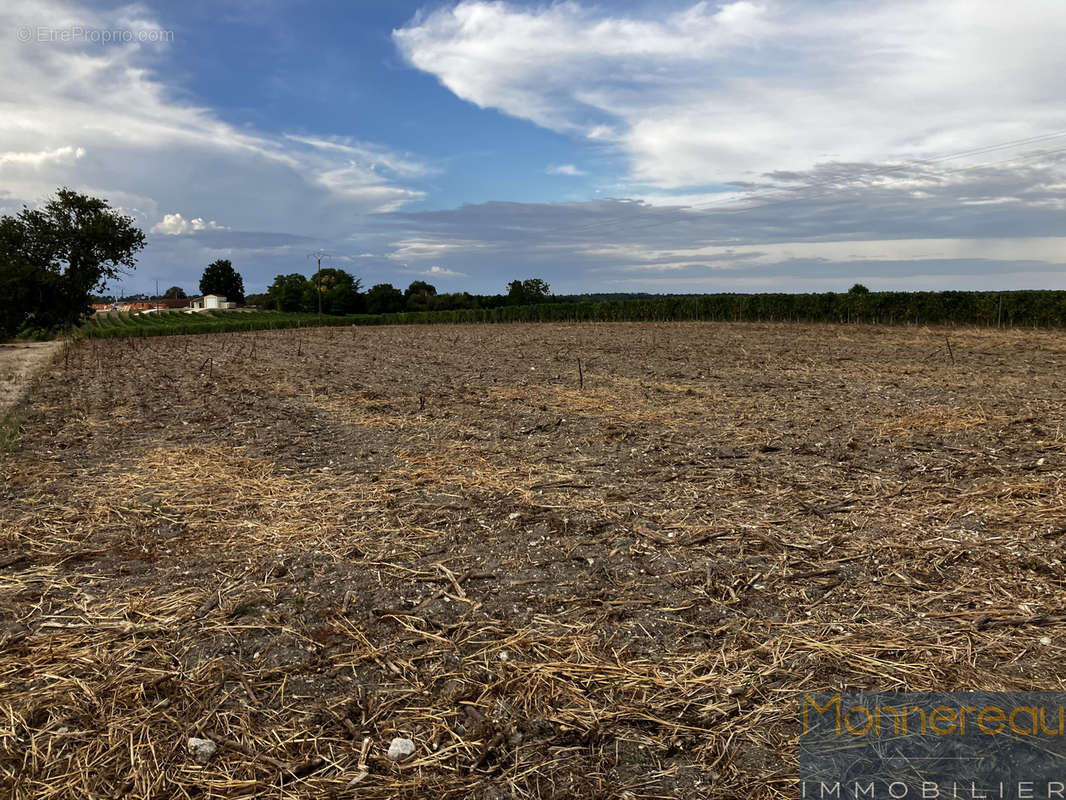 Terrain à SAINT-MAIGRIN
