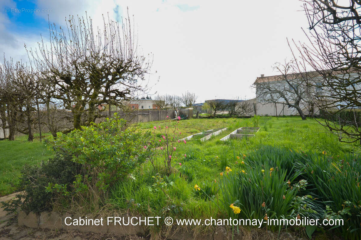 Maison à CHANTONNAY