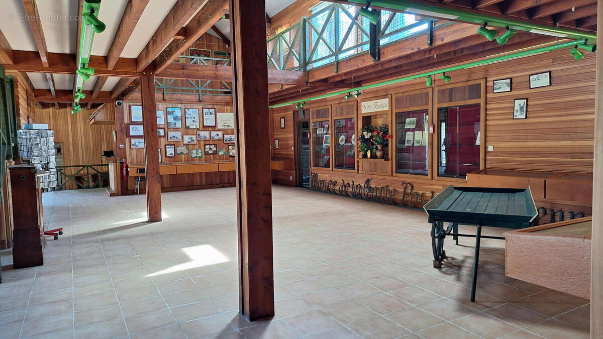 20250711_143519 - Maison à SAINT-PARDOUX-LA-RIVIERE