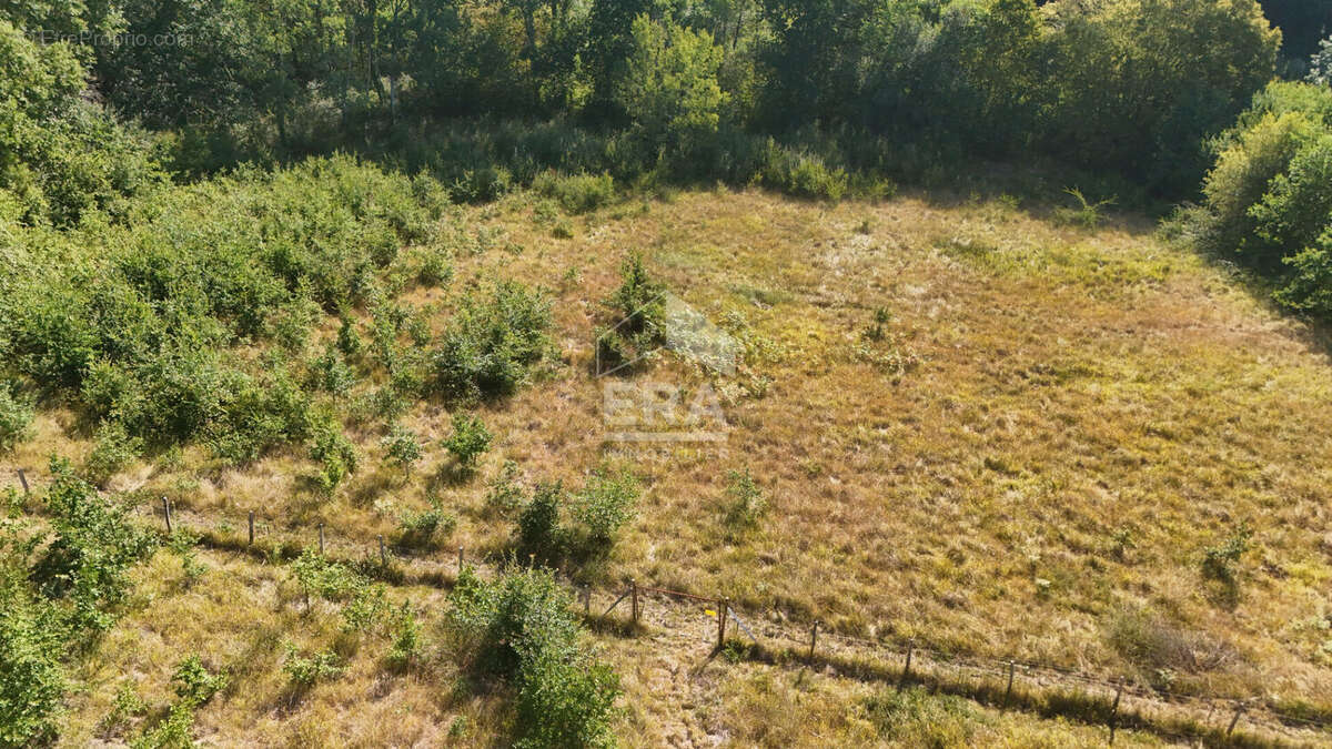 Terrain constructible 8100m² sur la commune du Fleix - photo 5