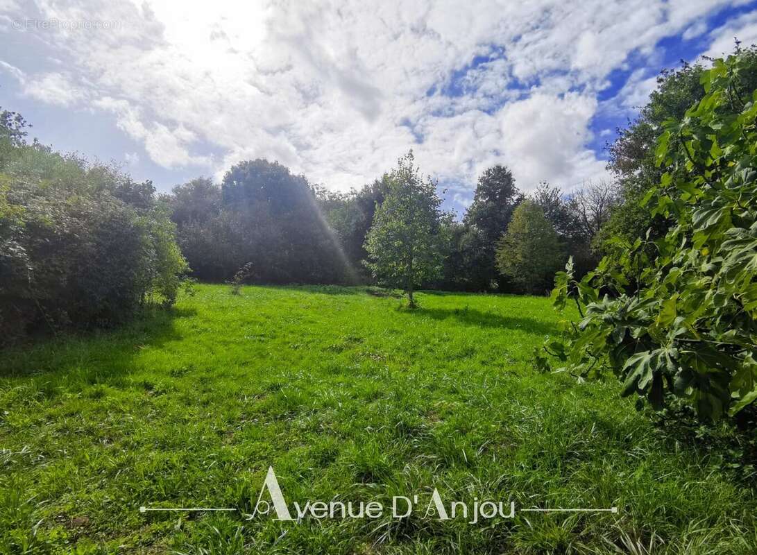 Maison à VILLEMOISAN