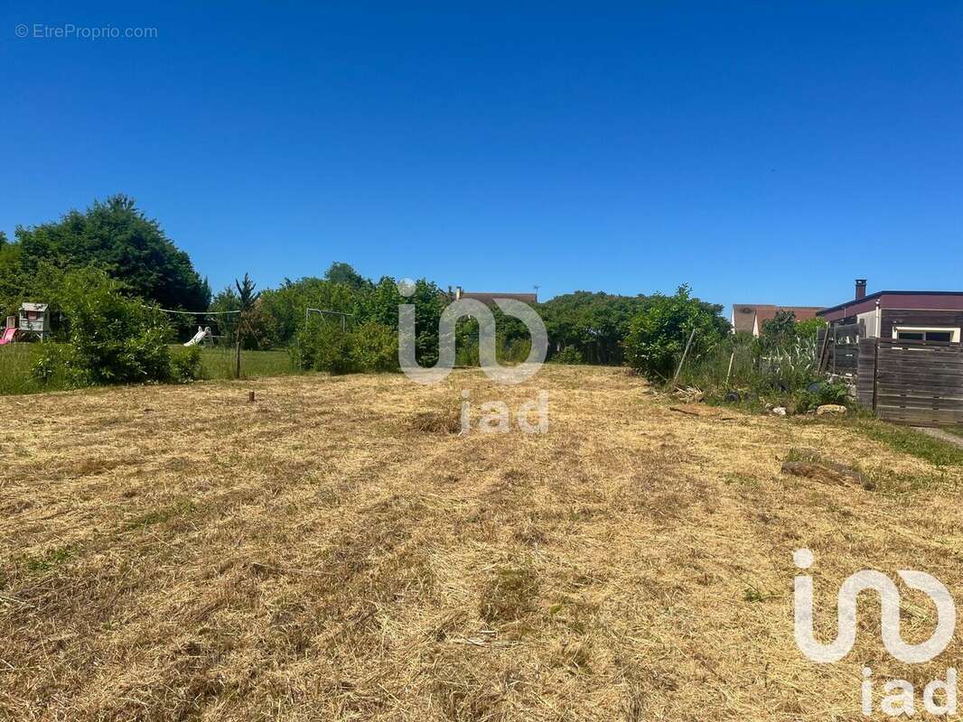 Photo 3 - Terrain à GREZ-SUR-LOING