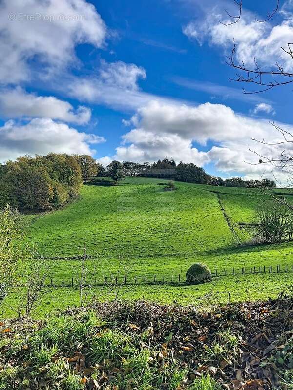 Maison à SAINT-FELIX-DE-LUNEL