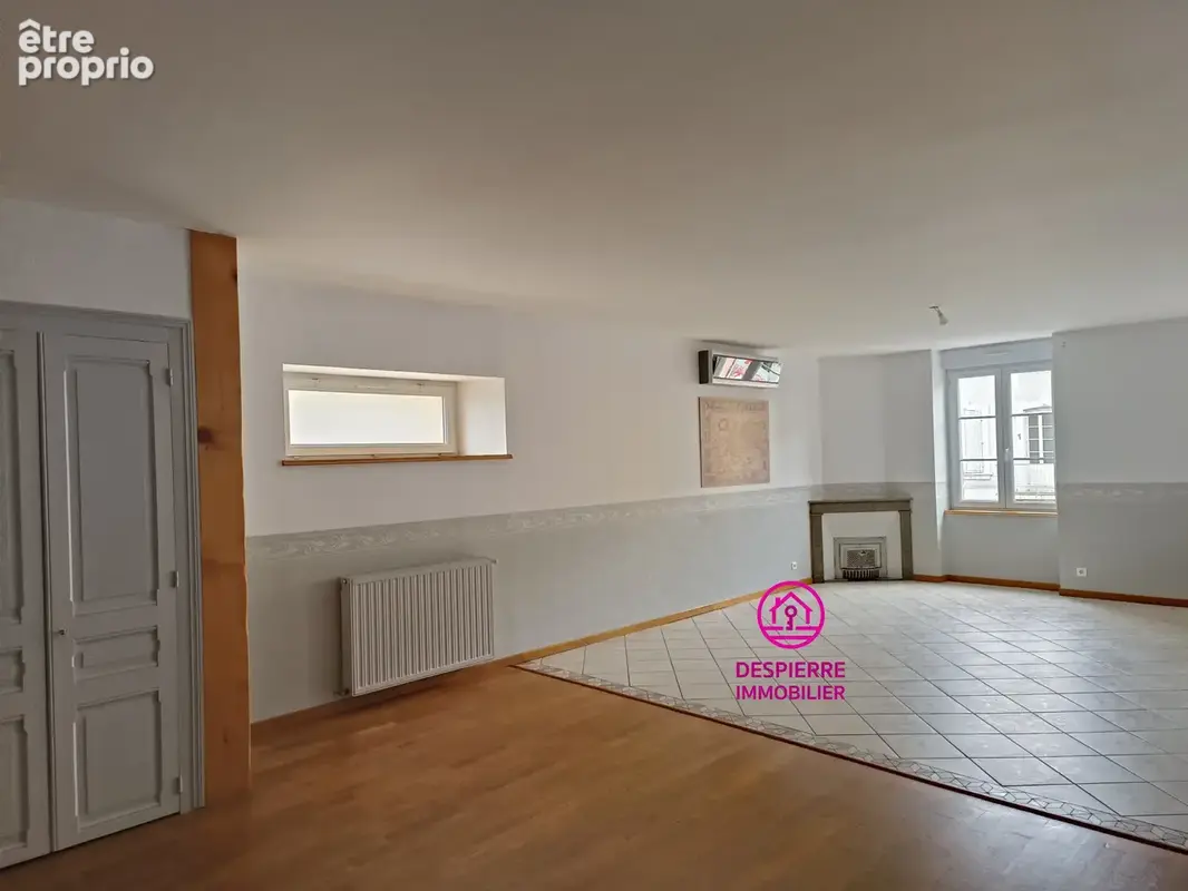 SAINT RAMBERT D'ALBON centre ville, appartement 180 m2 environ avec terrasse et annexe 60 m2 - photo 3