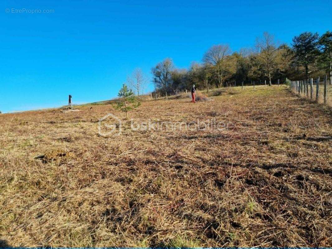 Terrain à NOE