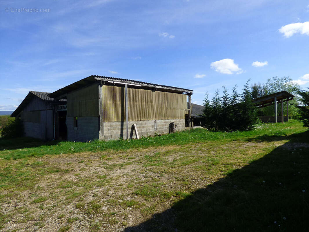 Ferme avec + de 6HA de terrain - photo 3