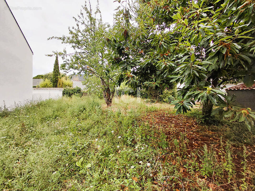 Terrain à SAINTE-LUCE-SUR-LOIRE