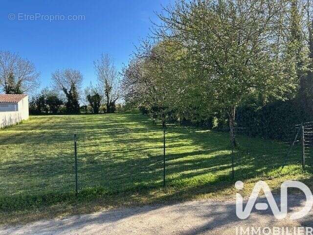 Terrain 975 m² à Les Fosses  - photo 4