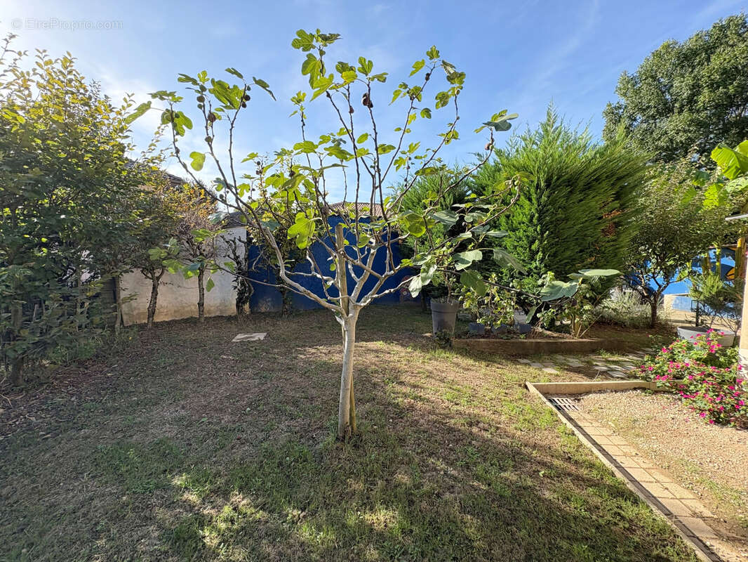 Appartement à SAINT-ANDRE-DE-CORCY