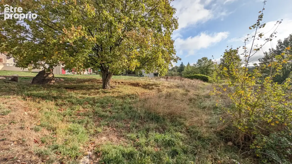 Terrain à VILLENEUVE-SUR-BELLOT