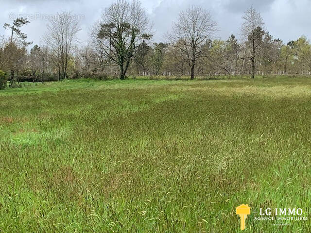 Terrain à SAINT-BONNET-SUR-GIRONDE