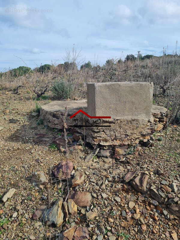 Terrain à BANYULS-SUR-MER