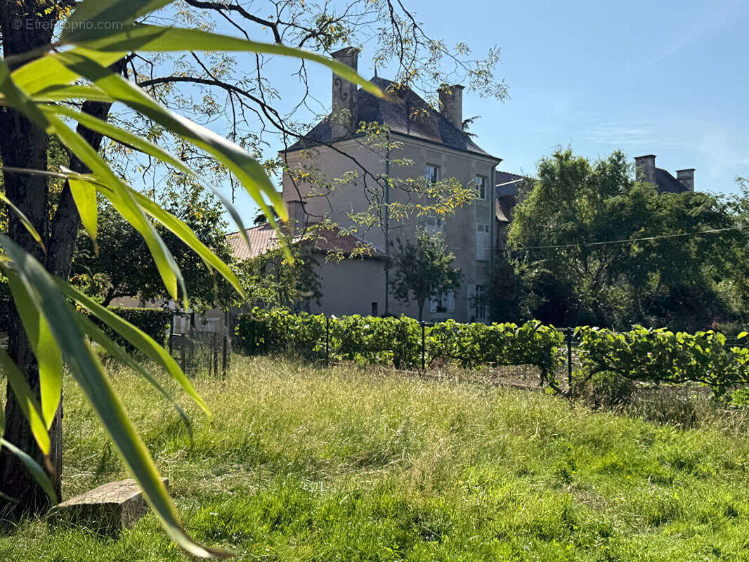 Nieuil l'espoir : charme et histoire - photo 12