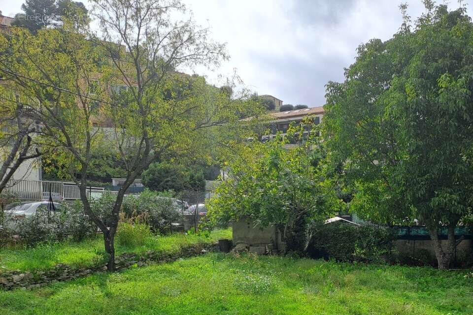 Terrain à LA TRINITE