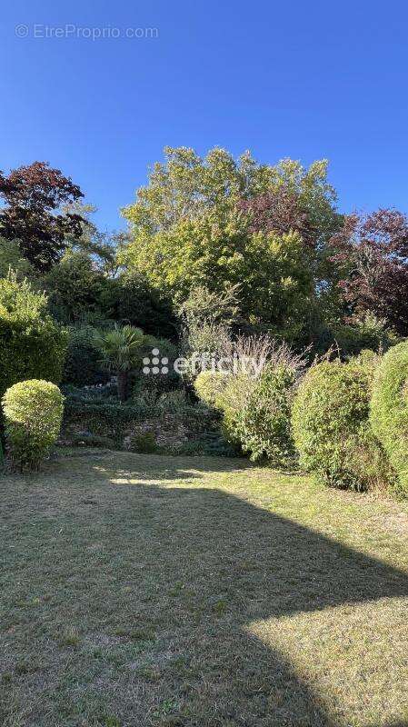 Maison à LOUVECIENNES