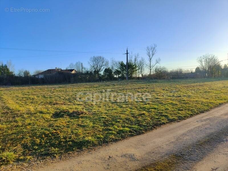 Terrain à SEPTFONDS