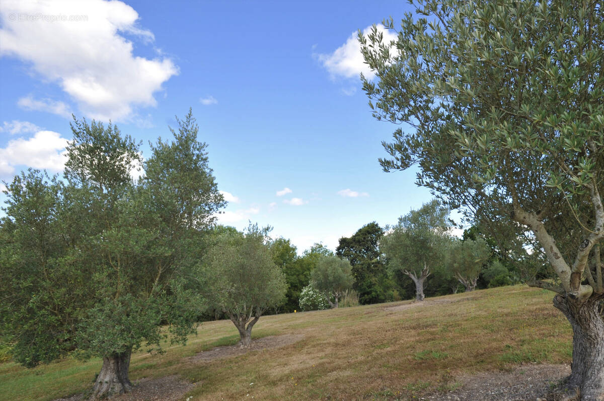 Terrain à SAINT-MARTIN-DE-HINX