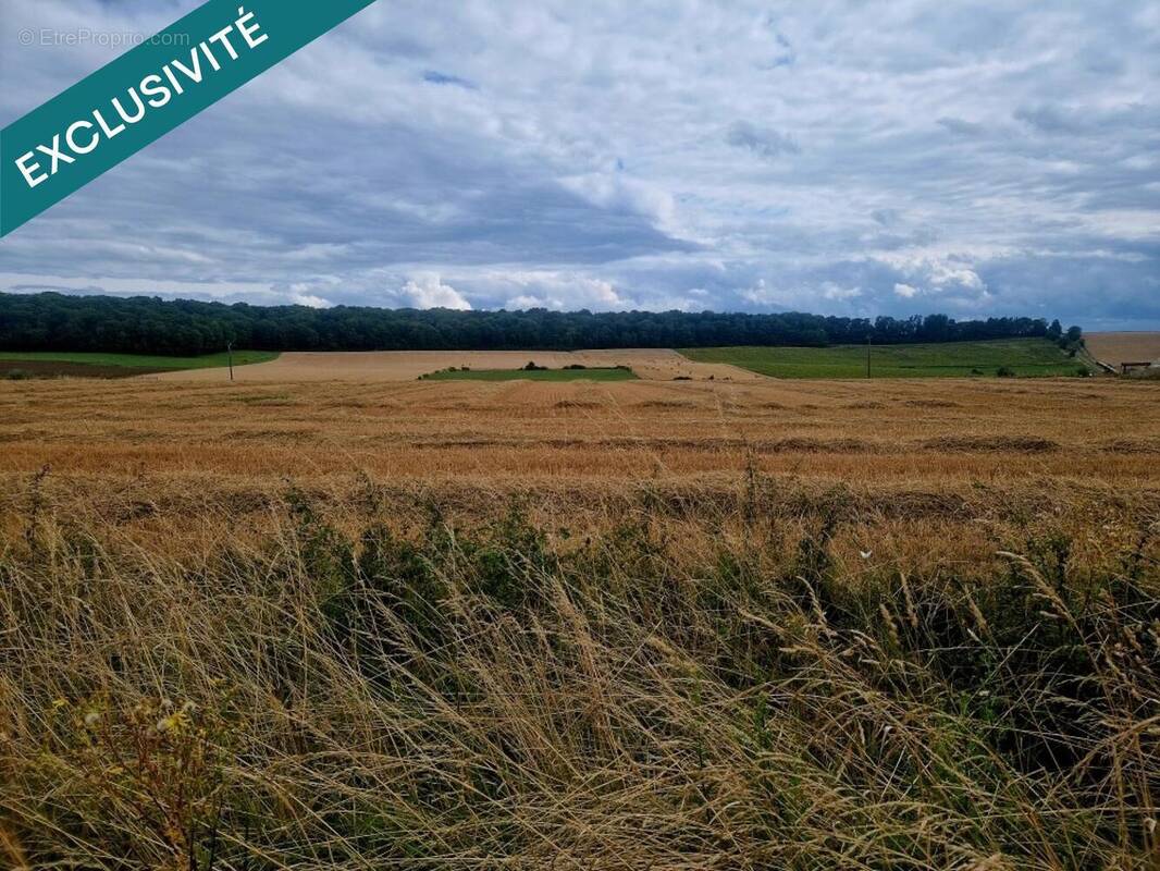 Photo 1 - Terrain à DONCOURT-LES-LONGUYON