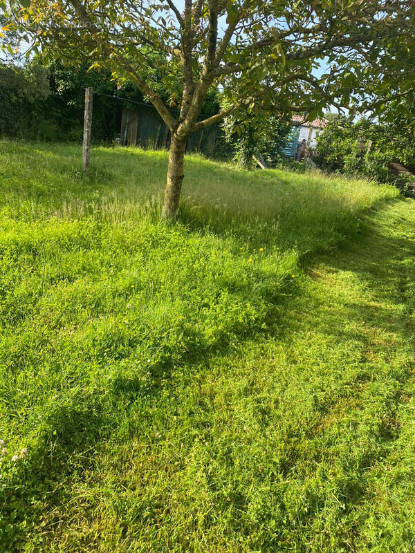Terrain à BOURGNEUF-EN-RETZ