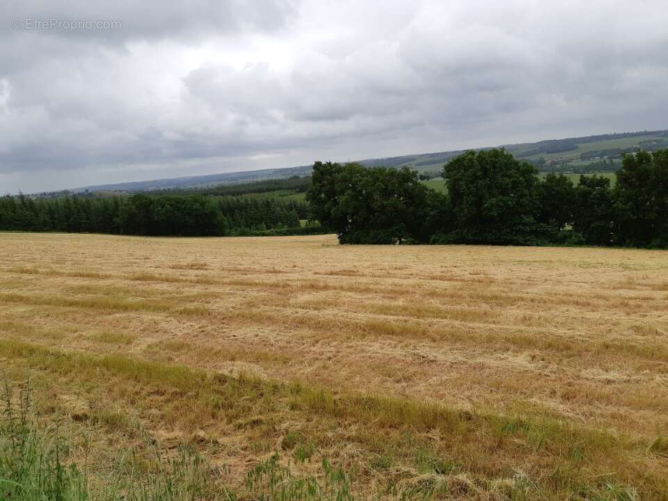 Terrain à MONTJOIRE