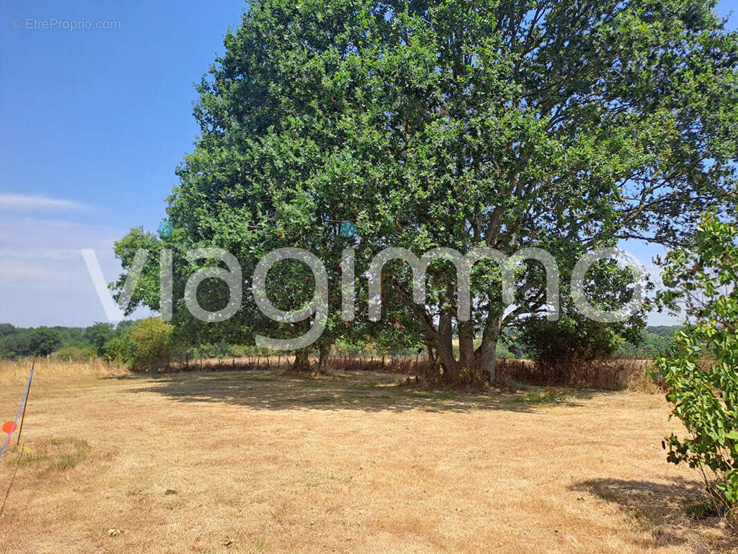Maison  Campagne de Savenay et Campbon - photo 13