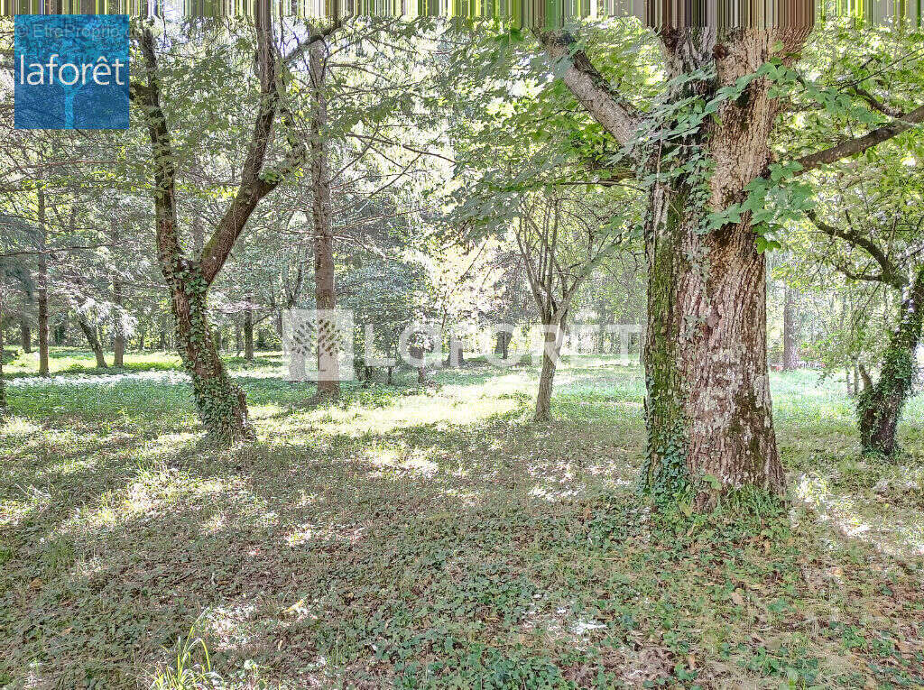 Terrain à PRATS-DE-MOLLO-LA-PRESTE