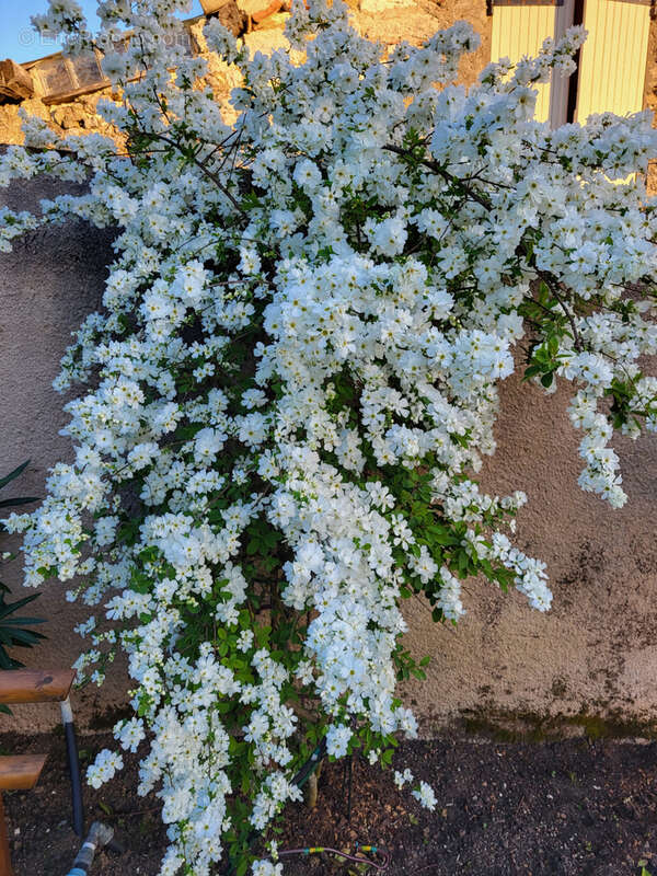 Maison à SAINT-CLAIR