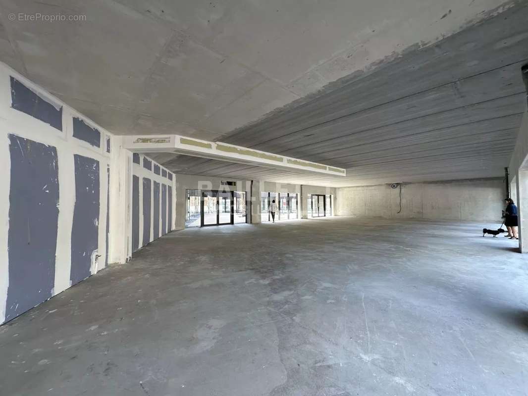 Commerce à PUGET-SUR-ARGENS