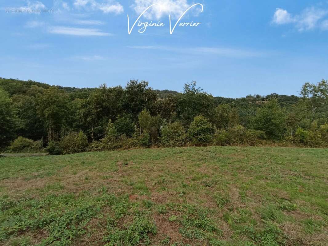 Terrain à SAINT-CYPRIEN