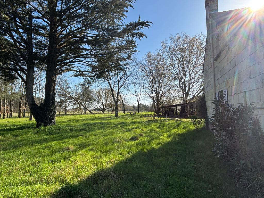 Maison à BEAUFORT-EN-VALLEE